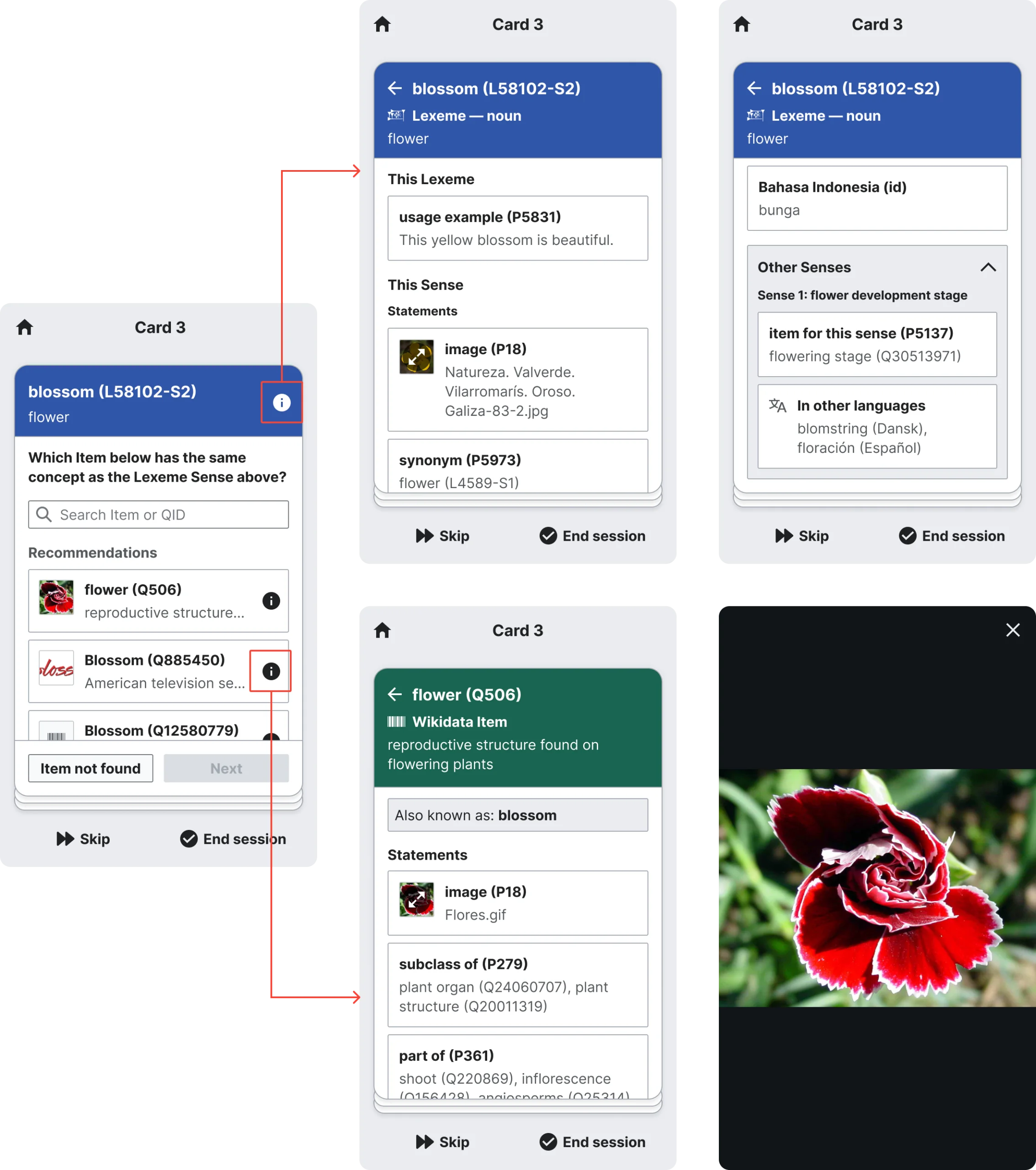 Screenshots of the mobile Wikidata editing app Lexica, illustrating working with the Lexeme "blossom"